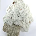Spessartine Garnet, Albite on Microcline Feldspar - image 1