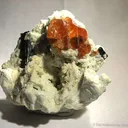 Spessartine Garnet and Schorl in Albite - image 3
