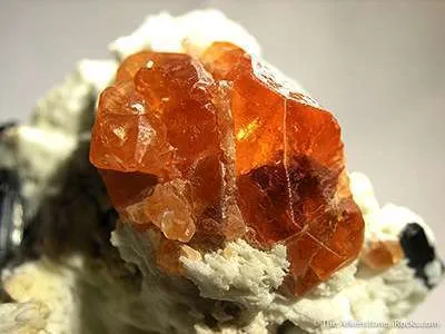 Spessartine Garnet and Schorl in Albite - image 4