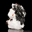 Spessartine Garnet and Schorl on Albite - image 3