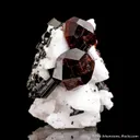 Spessartine Garnet and Schorl on Albite - image 4