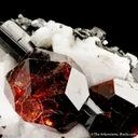 Spessartine Garnet and Schorl on Albite - image 1