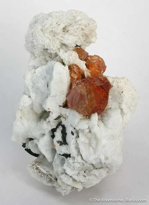 Spessartine Garnet in Albite image