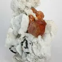 Spessartine Garnet in Albite - image 1