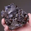 Spessartine Garnet in Galena - image 2