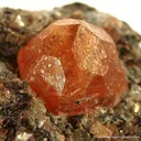 Spessartine Garnet in Mica Schist - image 3