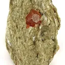 Spessartine Garnet in Mica Schist - image 1