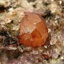 Spessartine Garnet in Mica Schist - image 4