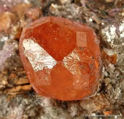 Spessartine Garnet in Mica Schist - image 3