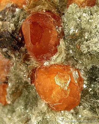 Spessartine Garnet in Mica Schist - image 3
