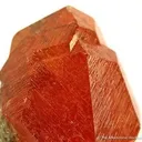 Spessartine Garnet in Mica Schist - image 3
