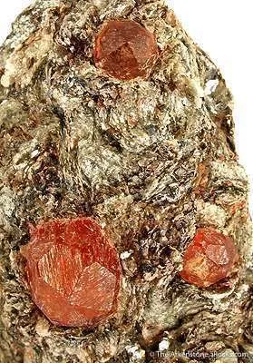 Spessartine Garnet In Mica Schist - image 3