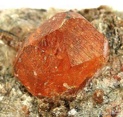 Spessartine Garnet in Mica Schist - image 4