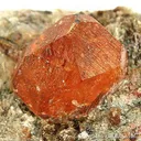 Spessartine Garnet in Mica Schist - image 4