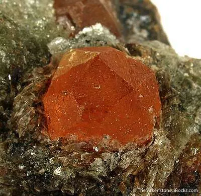 Spessartine Garnet in Mica Schist - image 2
