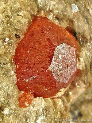 Spessartine Garnet in Mica Schist - image 2