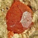 Spessartine Garnet in Mica Schist - image 2