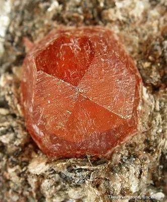 Spessartine Garnet In Mica Schist - image 2