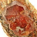 Spessartine Garnet in Mica Schist - image 2