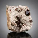 Spessartine Garnet in Smoky Quartz on Albite Matrix from China, Fujian - image 1