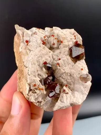 specimen video