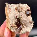 specimen video