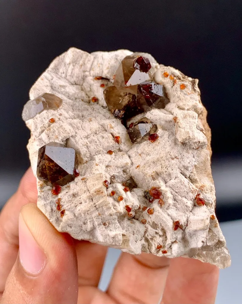 Spessartine Garnet in Smoky Quartz on Albite Matrix from China, Fujian - image 4