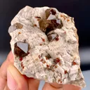 Spessartine Garnet in Smoky Quartz on Albite Matrix from China, Fujian - image 4