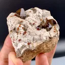 Spessartine Garnet in Smoky Quartz on Albite Matrix from China, Fujian - image 6