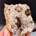 Spessartine Garnet in Smoky Quartz on Albite Matrix from China, Fujian - image 3