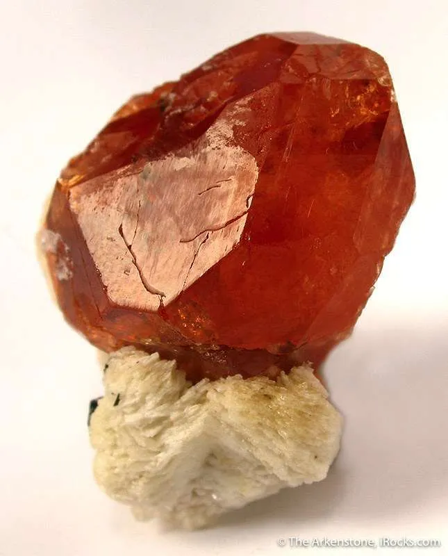 Spessartine Garnet on Albite image