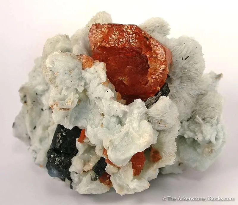 Spessartine Garnet on Albite image