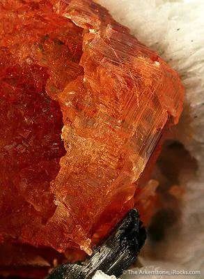 Spessartine Garnet on Albite - image 4