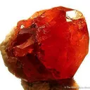 Spessartine Garnet on Albite - image 2