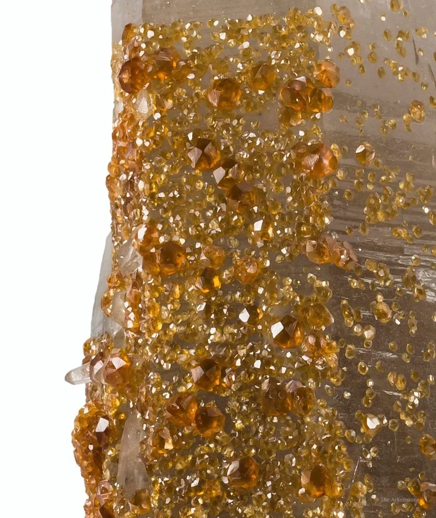 Spessartine Garnet on and Included in Quartz - image 2