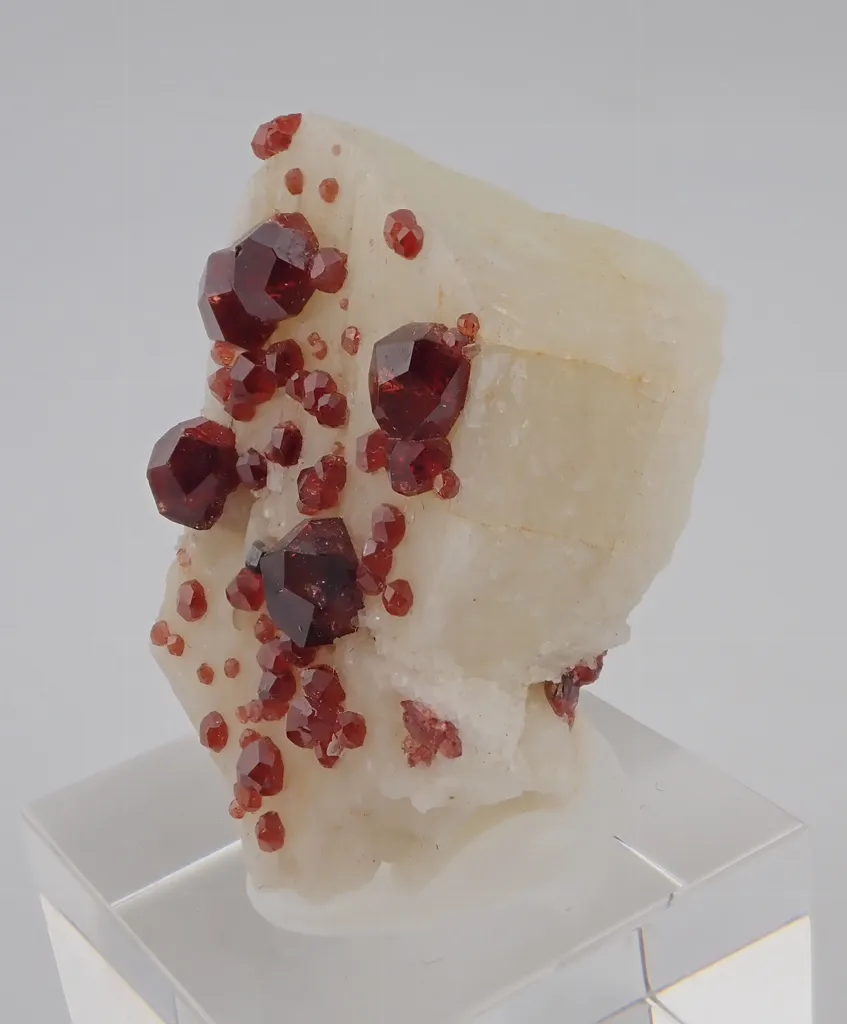 Spessartine Garnet on Feldspar image