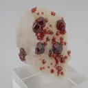 Spessartine Garnet on Feldspar - image 2