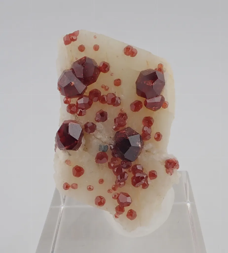 Spessartine Garnet on Feldspar - image 3