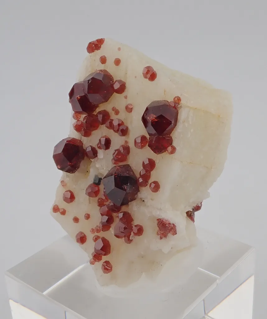 Spessartine Garnet on Feldspar - image 4