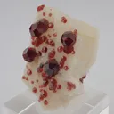 Spessartine Garnet on Feldspar - image 4