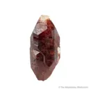 Spessartine Garnet on Fluorapatite - image 2
