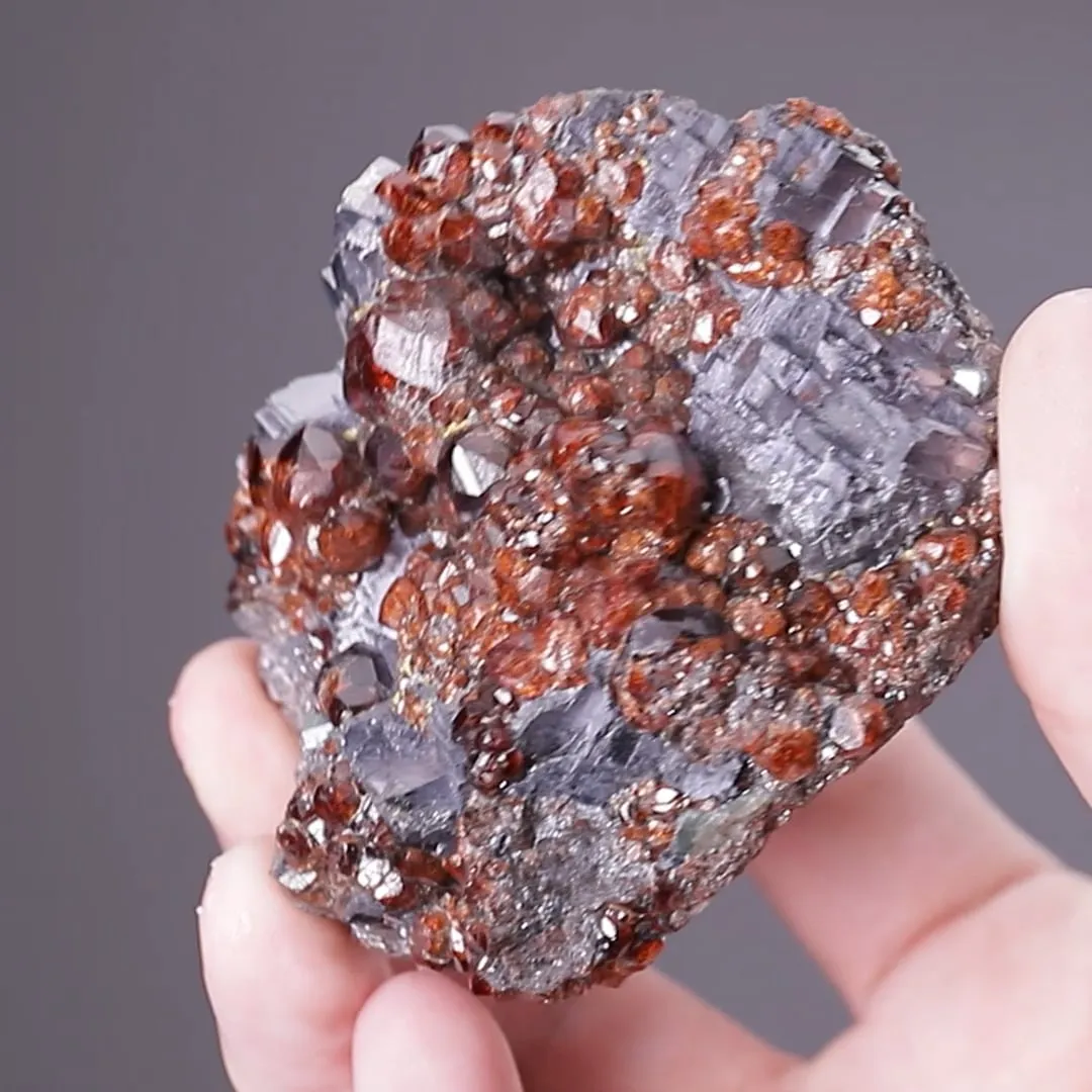 Spessartine Garnet on Galena - image 2