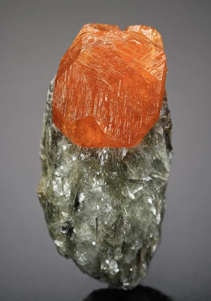 Spessartine Garnet on Muscovite image