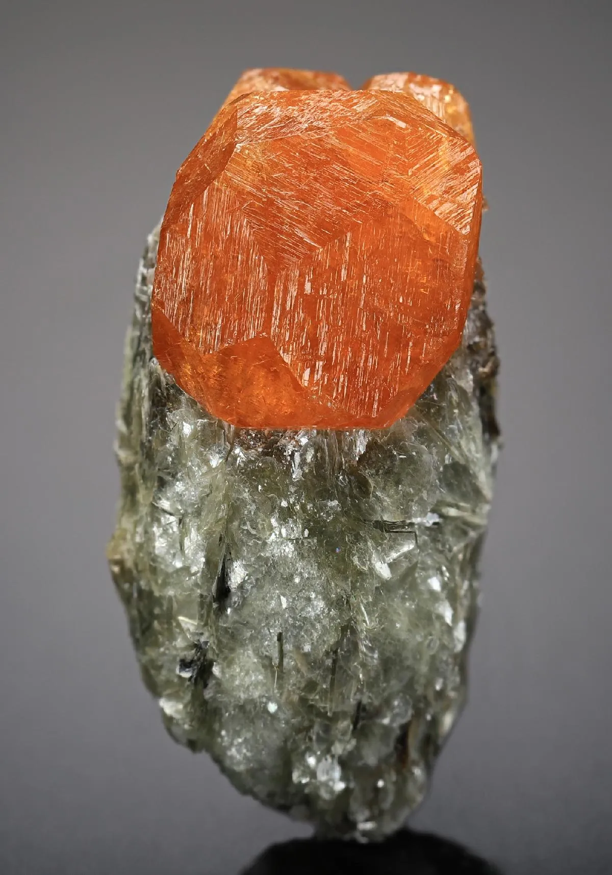 Spessartine Garnet on Muscovite - image 1