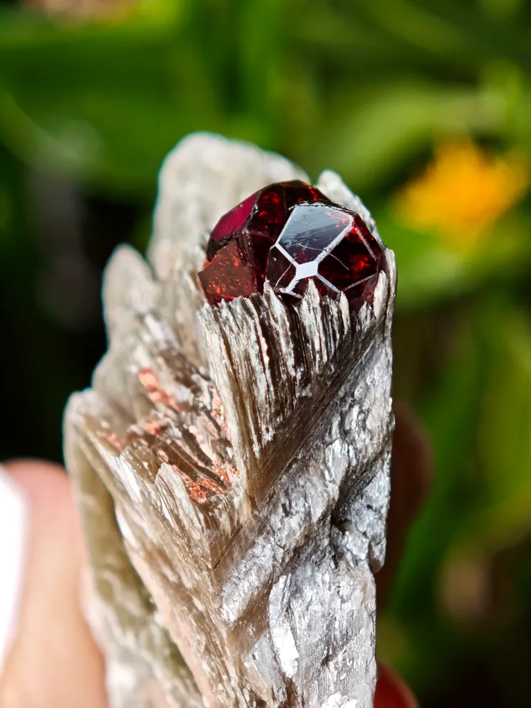 Spessartine Garnet on Muscovite from Skardu, Pakistan image