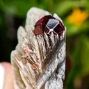 Spessartine Garnet on Muscovite from Skardu, Pakistan - image 1