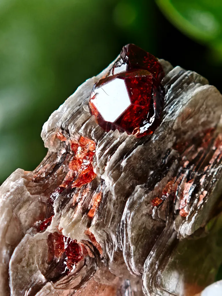 Spessartine Garnet on Muscovite from Skardu, Pakistan - image 4