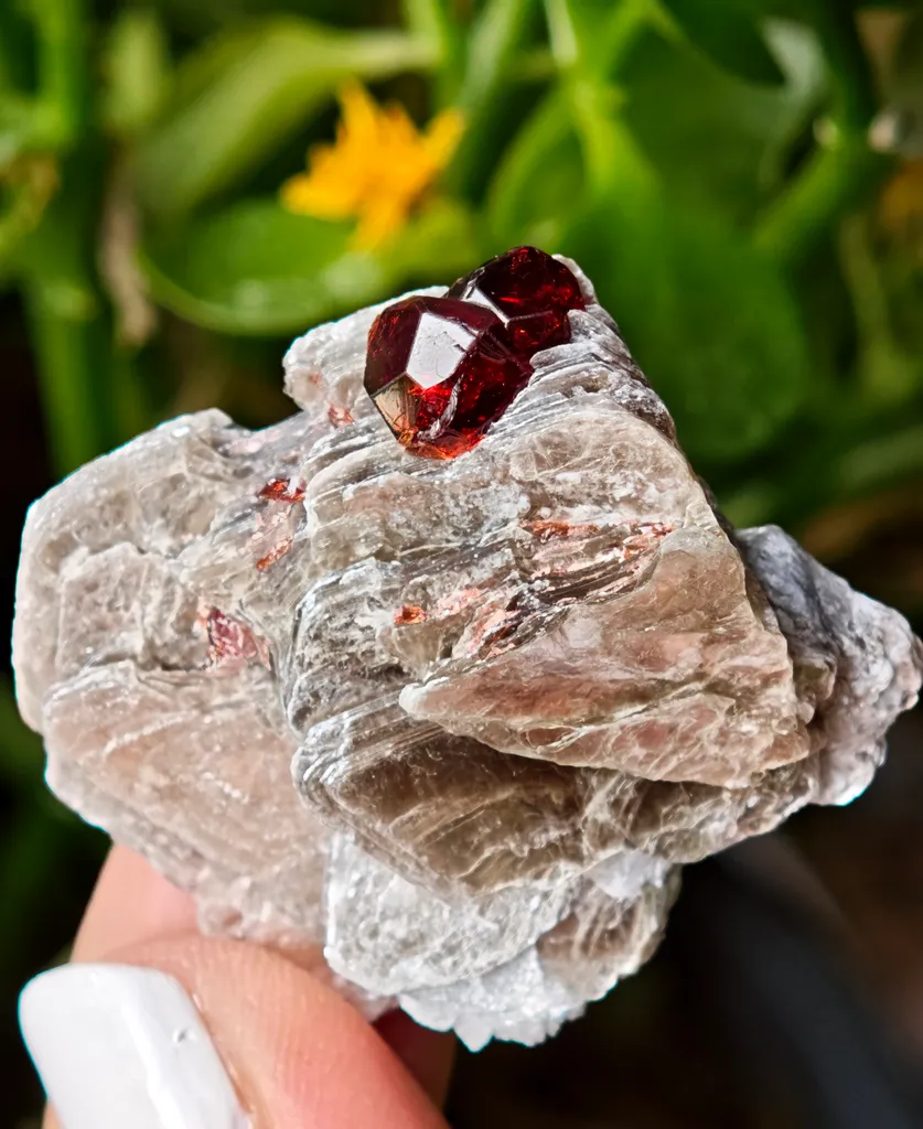 Spessartine Garnet on Muscovite from Skardu, Pakistan - image 2