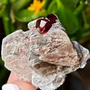 Spessartine Garnet on Muscovite from Skardu, Pakistan - image 2