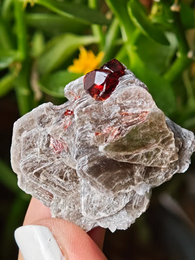 Spessartine Garnet on Muscovite from Skardu, Pakistan - image 6